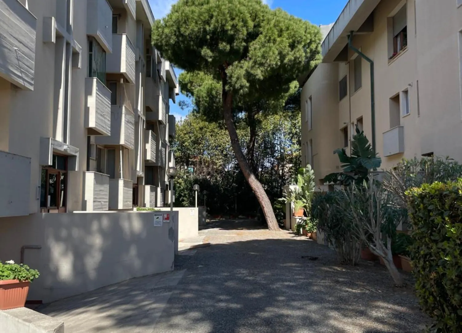 Appartamento Con Piscina A 100Metri Dal Mare Castiglioncello